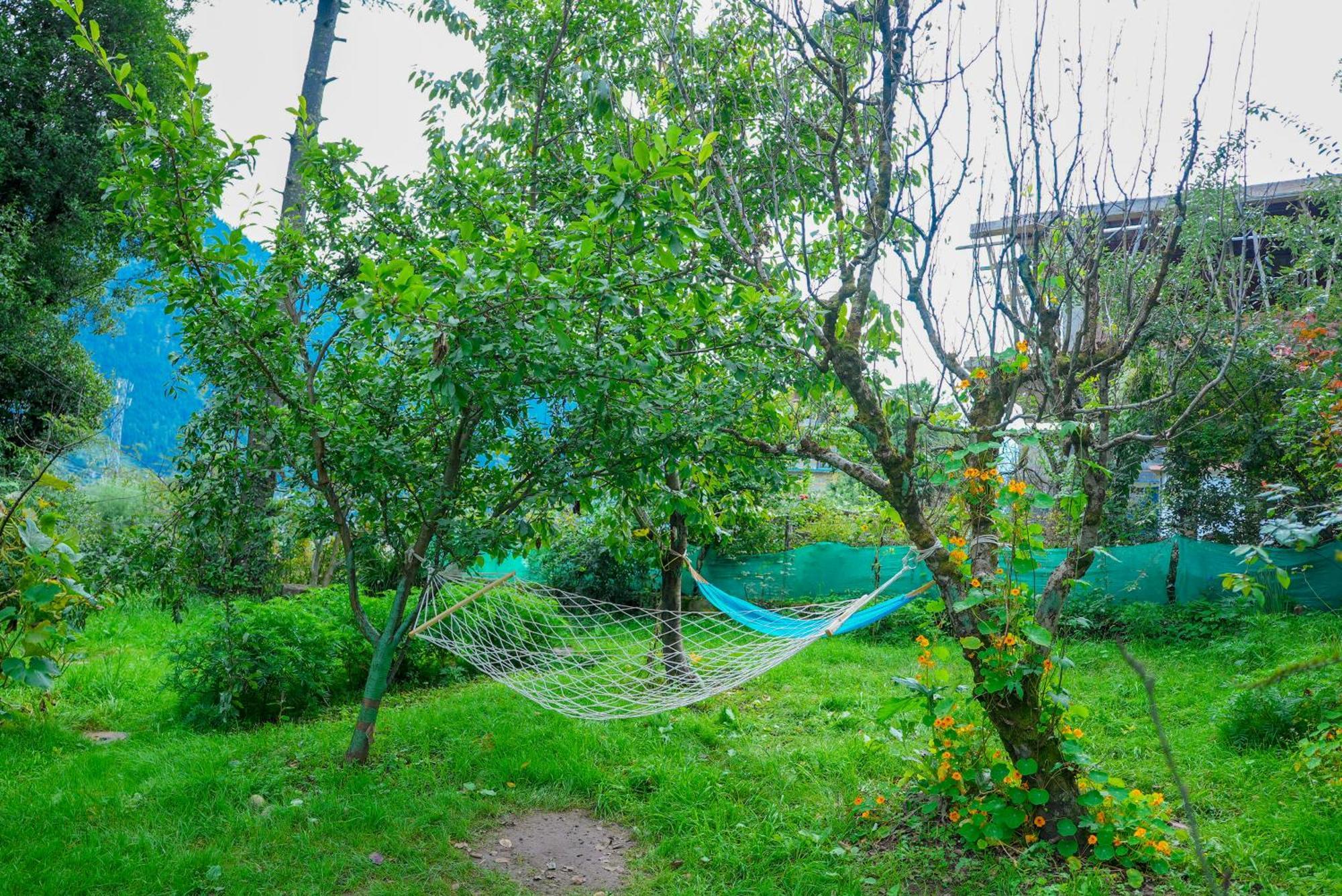 Nature Valley View Resort Manali 2 Bedrooms Luxury Cottages And Valley View Esterno foto